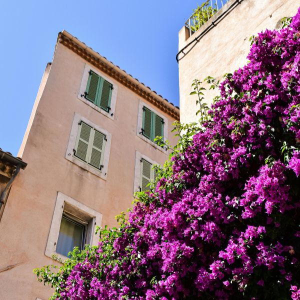 picto de la visite d'une activité 02 blue lagon