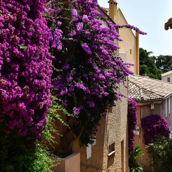 picto de la visite d'une activité 04 blue lagon