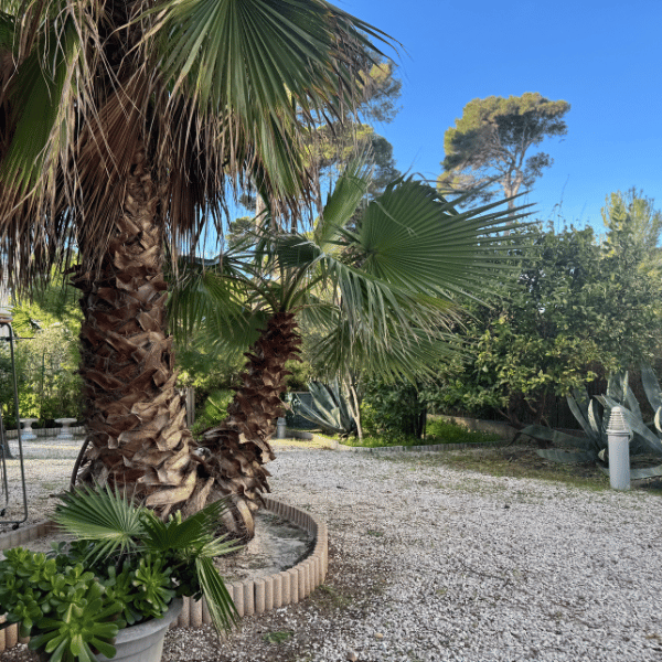 terrasse privatives a l'appartement de vacances le capitaine a blue lagon hyeres