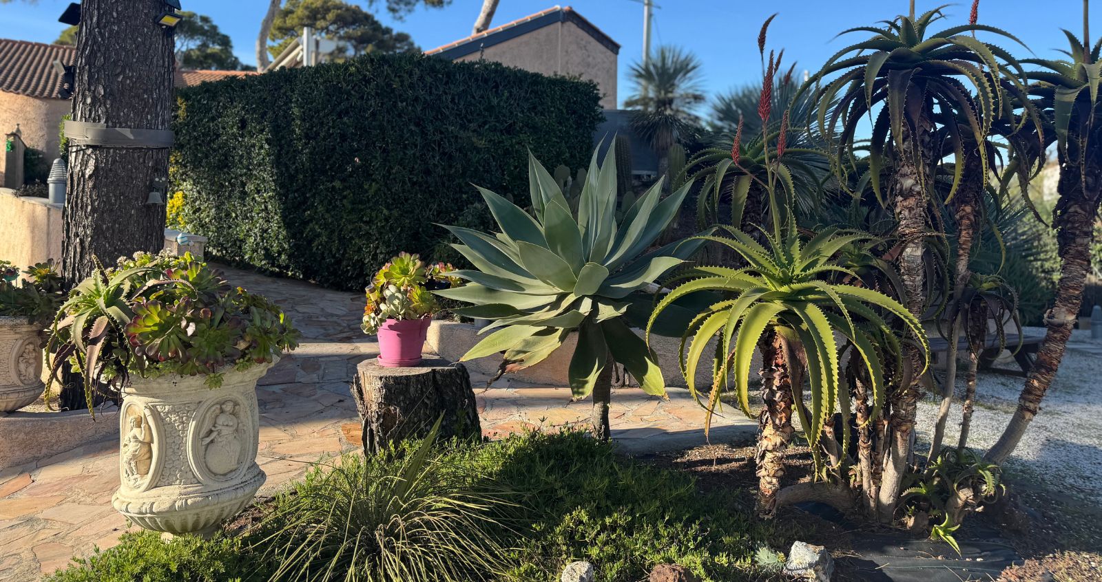 Présentation de blue lagon a hyeres location et appartement de vacances a hyeres depuis 2000. 01