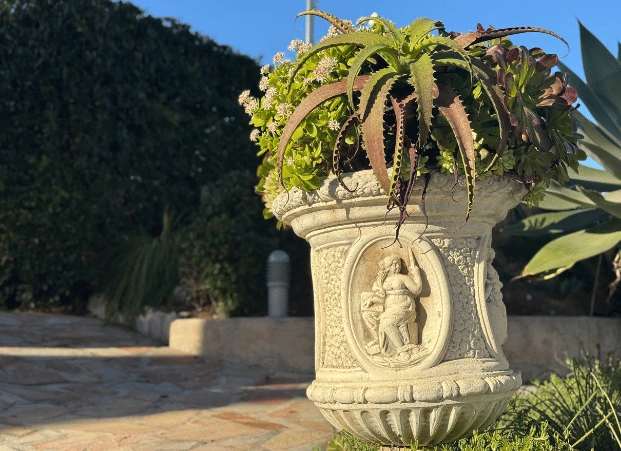 décoration aux appartements de vacances chez Blue Lagon a hyeres