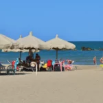 Découvrir la presqu’île de Giens et la plage de l’Almanarre