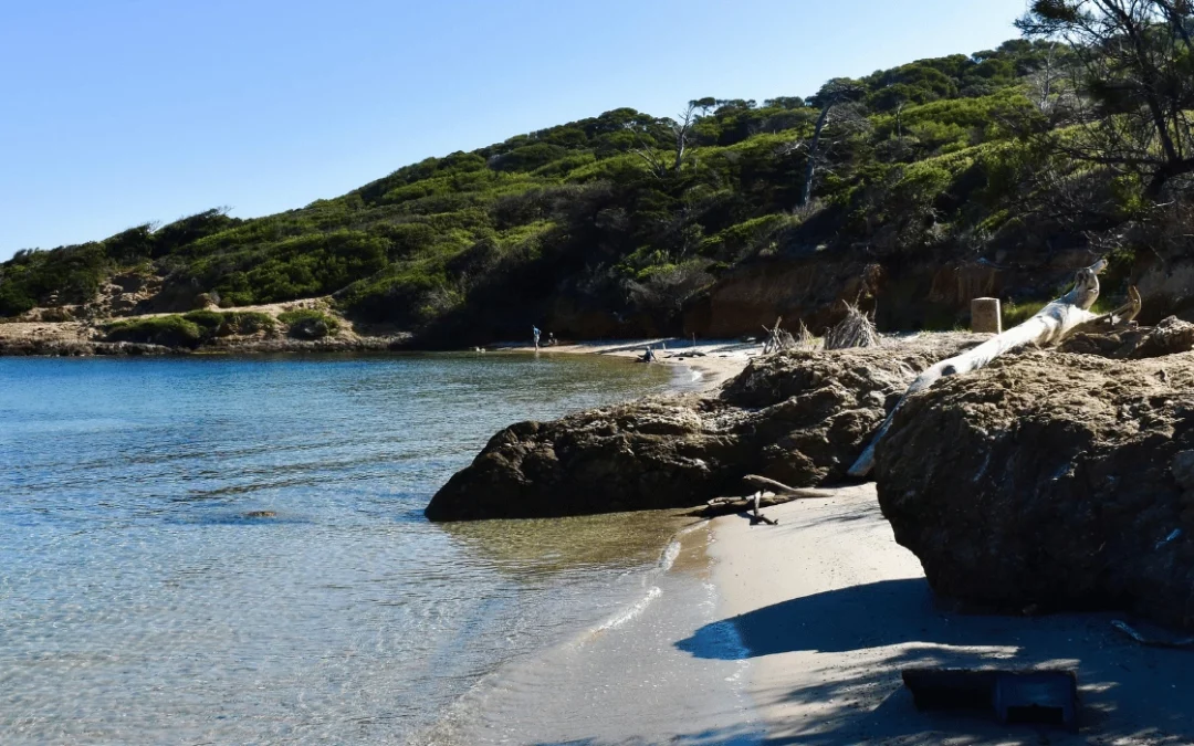 Visiter L&rsquo;ile de Porquerolles