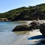 Visiter L’ile de Porquerolles