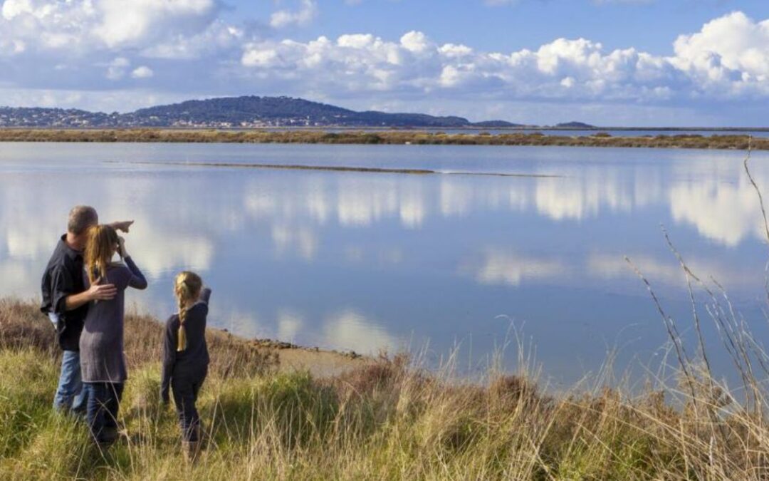 Visiter les Salins de Hyères